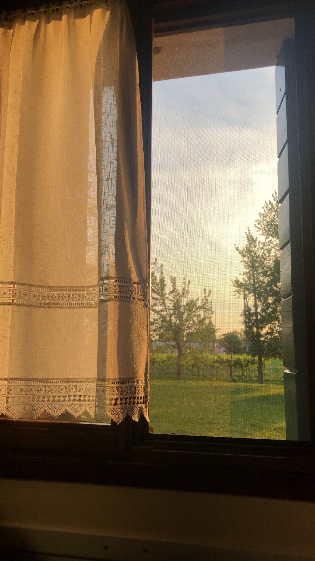 Jesus Revealing Truth